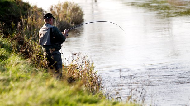 Akvakulturen: Sportsfiskere skal også overholde habitatreglerne