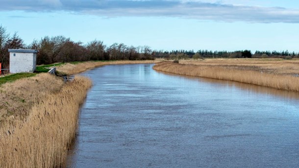 Vismændene skriver, at landbrugets udledninger af kvælstof er et væsentligt problem i forhold til vandkvaliteten. Denne præmis er helt forkert, mener Poul Vejby-Sørensen.