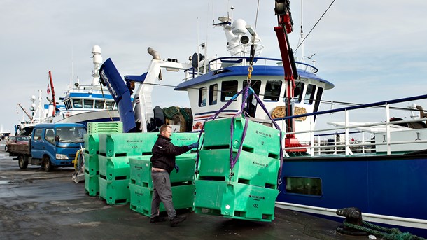 Vi skal gøre en indsats for at holde fast i de fiskerihavne, vi har i dag, mener Svend-Erik Andersen. 