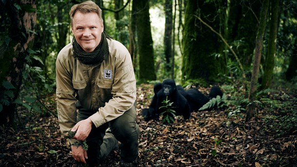 WWF-general under beskydning: 28 ansatte stoppet på to år