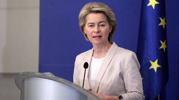 Ursula von
der Leyen lover at prioritere langsigtede investeringer i AI og gennem massiv
satsning på offentlig-private partnerskaber, skriver Cecilia Bonefeld-Dahl.