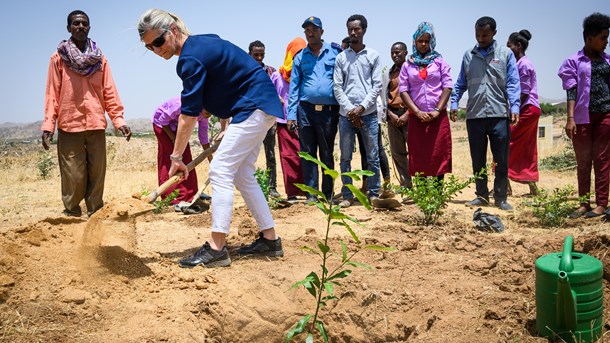 Hvordan kan landene i Afrika få et bredere udviklingsmæssigt udbytte af udbudssystemer for vedvarende energi ud over den billige, grønne strøm? spørger Ulrich Elmer Hansen.