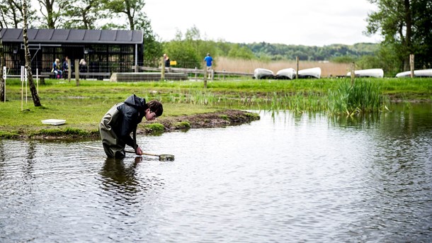 Ingeniør: 30 procent af havområdet skal udlægges til naturbeskyttelsesområder