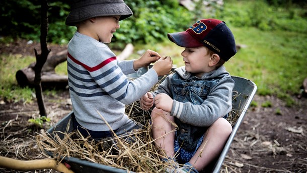 Alle er enige om, at kvaliteten af dagtilbud skal være høj, men der findes utallige bud på, hvad der er god kvalitet, mener Danmarks Evalueringsinstitut.