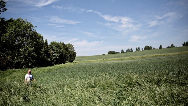 Enhedslisten kræver skov og natur på finansloven