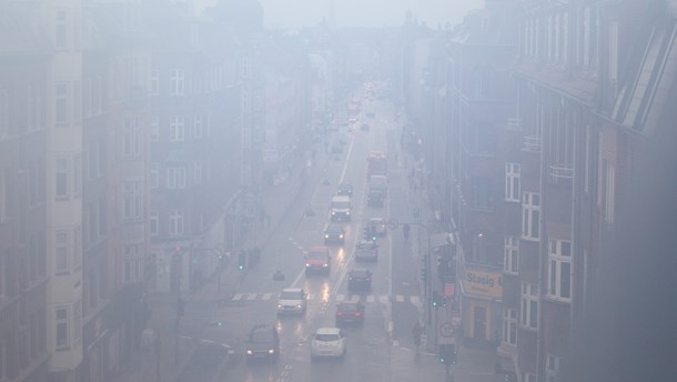 Der er mange tiltag, der kan nedbringe CO2-udledningen, som kan søsættes omgående, mener Noah.