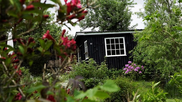 Selvstændig: Jeg vil gerne være klima­bevidst, men jeg får ikke meget hjælp