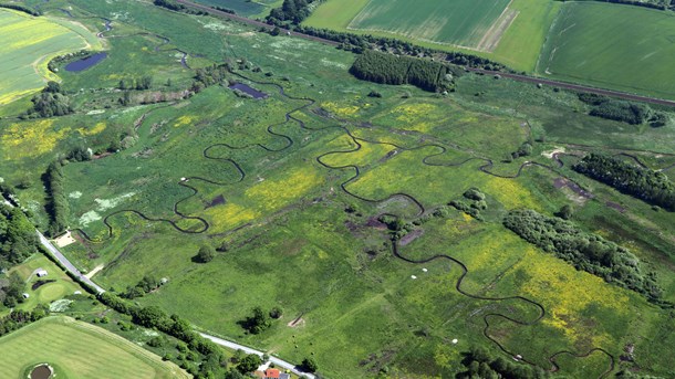 Miljøtekniker: Vandløbene er en solstrå­lehistorie i tragedien om den kriseramte natur