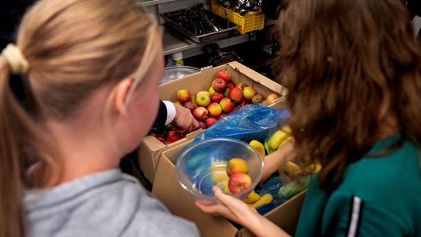 Hvis vi vil mindske uligheden i kostvaner, er strukturelle tiltag som afgifter og skolefrugtordninger nødvendige, skriver Ane Eggert Jackson.