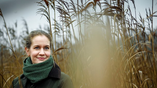 DN advarer mod at overse naturen i Enhedslistens grønne fond