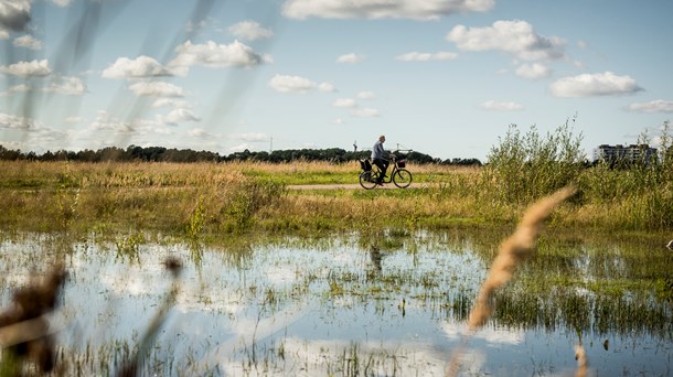 På det seneste møde i Københavns Kommunes Teknik- og Miljøudvalg stemte et flertal for, at der skal bygges blandt andet på Amager Fælled, fortæller Fanny Broholm.