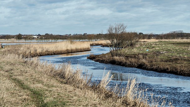 Miljøstyrelsen gør status: Ingen fremgang for vandmiljøet siden 2014