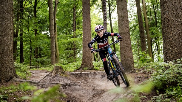 DGI: Det gavner ikke naturen at fjerne mountainbike-spor