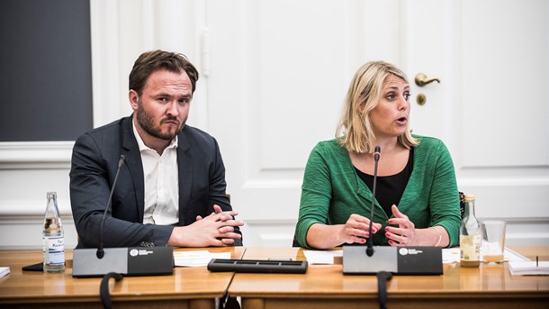 Konsulenter udvikler klimatips og kommunikation for regeringen: 