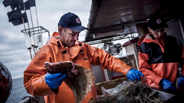 Britisk farvand risikerer at blive lukket for danske fiskere. Her lander de ellers en tredjedel af deres fangst. 