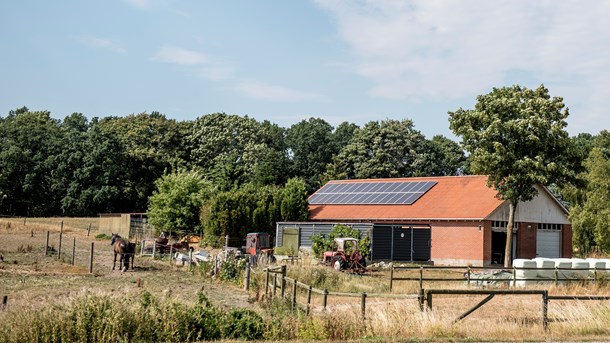 Mange snakker om, at der ikke er nok unge til at overtage landbrugets ejendomme, fortæller Steffen Overgaard, der selv ikke er enig heri.