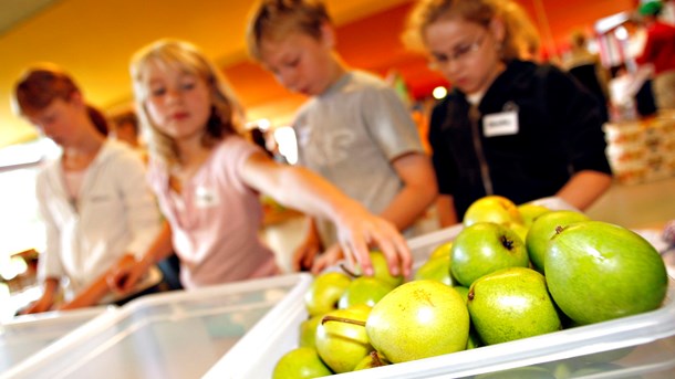 Brexit kan gøre dansk skolemælk og skolefrugt dyrere