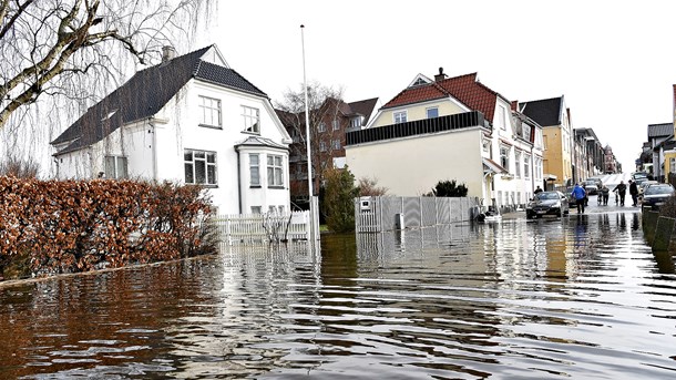 Vandet stiger og stiger: ”Regeringens udspil er fint, men det er slet ikke nok”