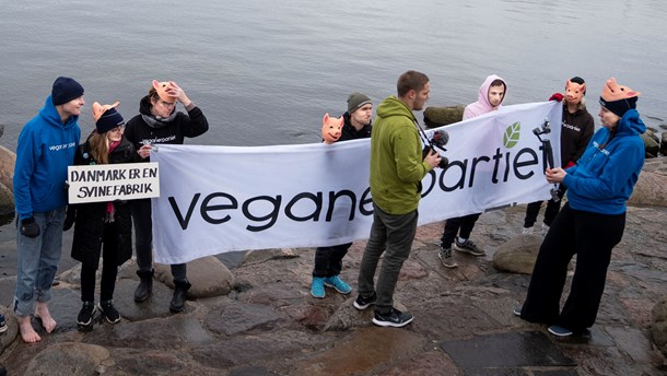 Det nuværende økonomiske system fremkalder en vækst- og gældsafhængighed, der har medført en rovdrift på jordens ressourcer, mener Veganerpartiet.