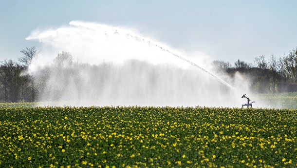 Økologisk Landsforening til Frej: Conservation agriculture er ikke en modsætning til økologi