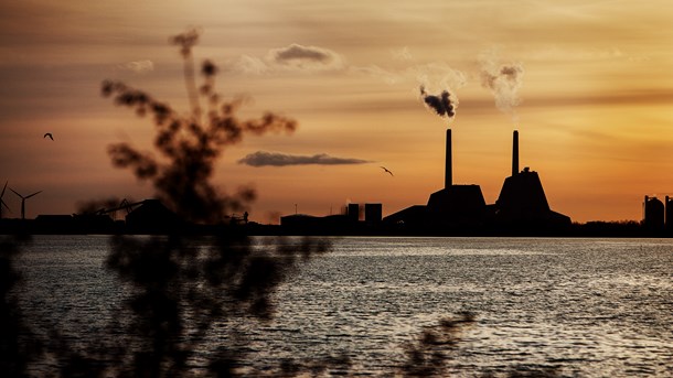 Biomasse er en helt naturlig del af vores energisystem. Det skal politikerne huske i de kommende forhandlinger om klimanhandlingsplanerne, skriver sekretariatschef i Dansk Industri. 