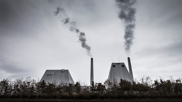 For at accelerere den grønne omstilling skal der indføres afgifter på afbrænding af biomasse til el- og varmeproduktion, skriver Rådet for Grøn Omstilling. 