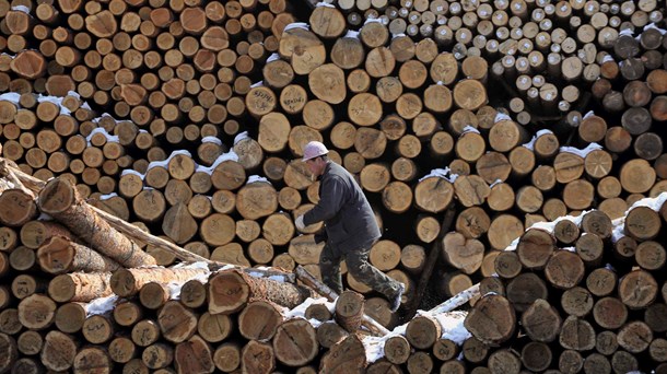 Biomasseproduktion kan være både ansvarligt over for klimaet, skovene og lokalbefolkningen, som får en økonomisk indsprøjtning, skriver Klaus Kroll.