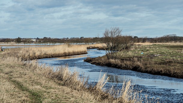 Det er problematisk, at en ny undersøgelse har brugt forskellige metoder og mål som reference af kvælstofmåling, skriver chefkonsulent i Seges.