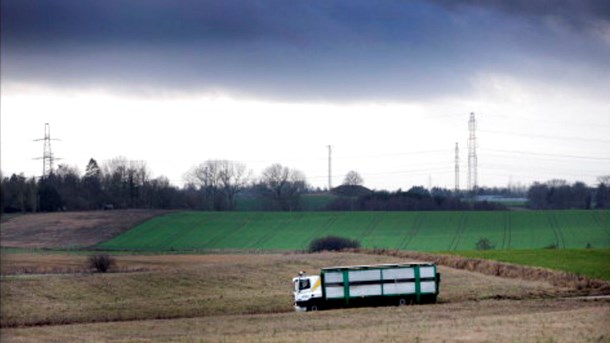 Erhvervsliv raser over udkast med nye krav for grisetransporter: “Uacceptabelt” og "en horribel tilgang”