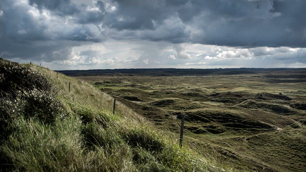 Debat: Planloven skal også tage hensyn til miljø, natur og klima