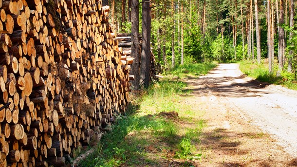 Partier holder Naturstyrelsen i kort snor med ny skovaftale