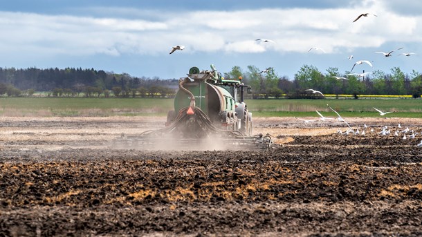 Danish Crown-direktør: Store investeringer skal gøre landbruget grønt