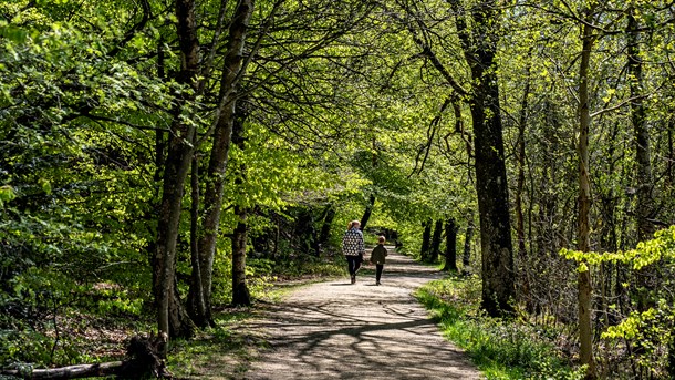 Naturstyrelsens medarbejdere: Stop nu klapjagten på vores faglighed 