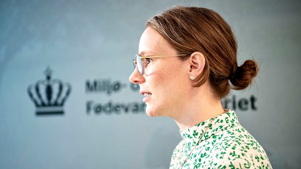 Miljøminister Lea Wermelin (S) skal have en ny taleskriver.