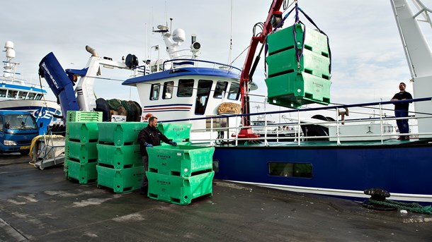 Over 40 procent af de fisk, danske fiskere fanger, hentes i britisk zone, skriver de to debattører.