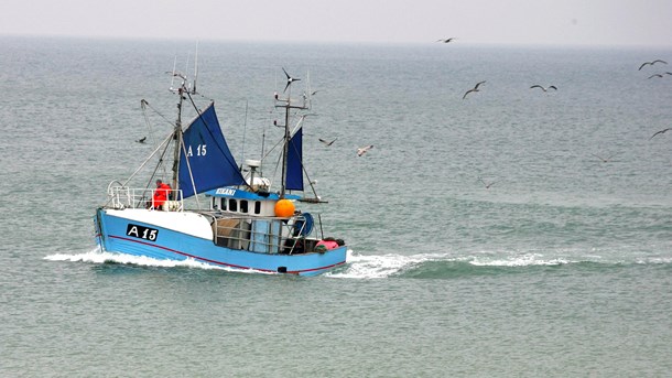 WWF mener, at kamera på fiskefartøjer er nødvendigt, men det har sine ulemper, skriver Danmarks Fiskeriforening PO. 