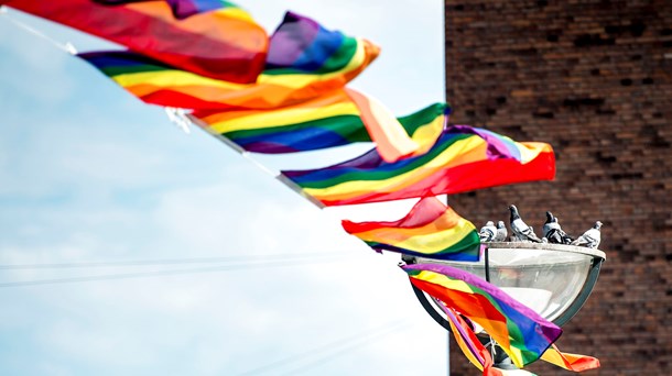 Konsulent: Ligestilling for LGBT+-personer er et uerkendt problem med en kendt løsning