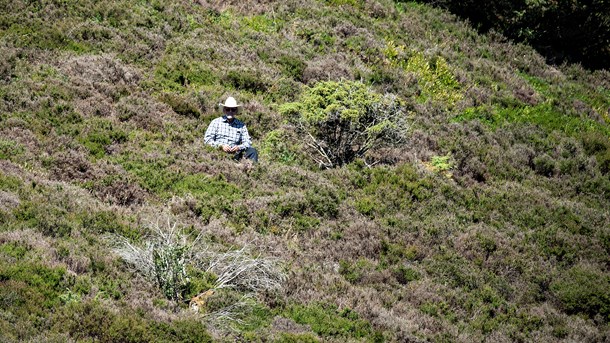 Naturstyrelsen: Rune Engelbreths konklusioner ligger langt fra virkeligheden