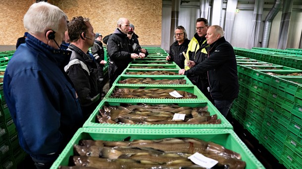 Fiskere: Kamerakontrol kan koste arbejdspladser og havnesamfund livet