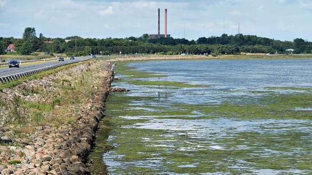 Det er næsten altid økonomiske interesser, der kommer først i planlægningen af havet, skriver Steen Gade.