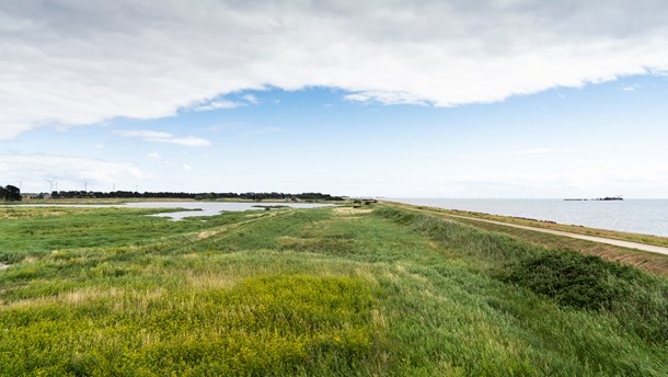 Ellen Højgaard: Brug planloven til at styrke byerne og nå klimamålene