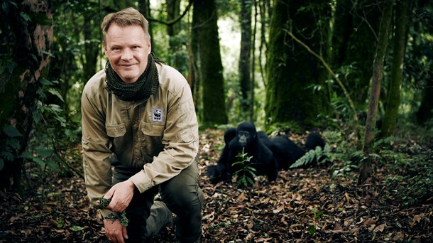 Bestyrelsen i WWF Verdensnaturfonden bakker fuldt op om generalsekretær Bo Øksnebjerg efter undersøgelse af arbejdsmiljøet i organisationen.