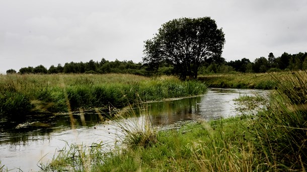 Landbruget klar med nyt værktøj: Sådan bliver vandløbsindsatsen mere effektiv