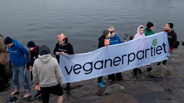 Se pressemødet: Veganerpartiet præsenterer sit projekt i Kødbyen