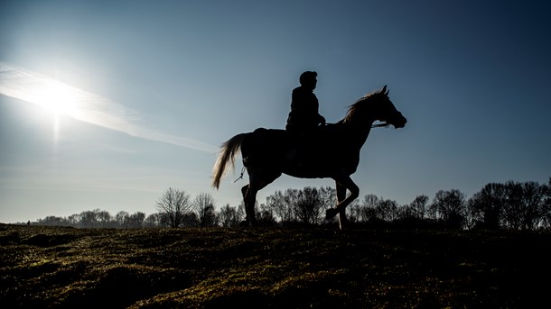 Rytterne diskrimineres i den danske natur, skriver Morten Schram Rodtwitt og Kristiane Klindt fra Dansk Ride Forbund og Dansk Islandshesteforening.