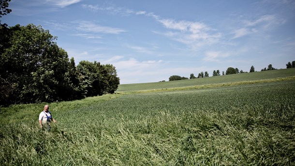 Notat afslører: Derfor nedtoner regeringen populært klimavirkemiddel