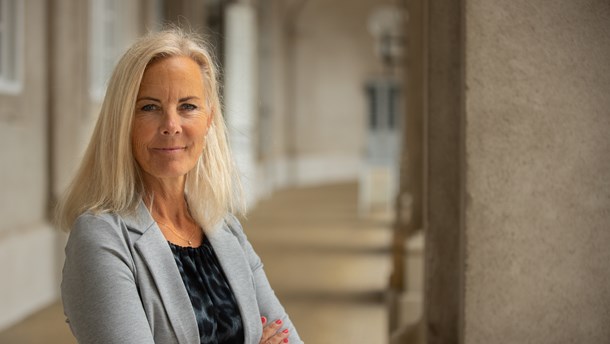 Kultur forudsætter engagement og deltagelse, men ikke nødvendigvis økonomisk støtte, skriver Birgitte Bergman (K).