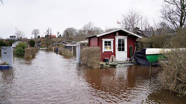 Forsker: Når vejret er varmt, er vi alle klimatosser