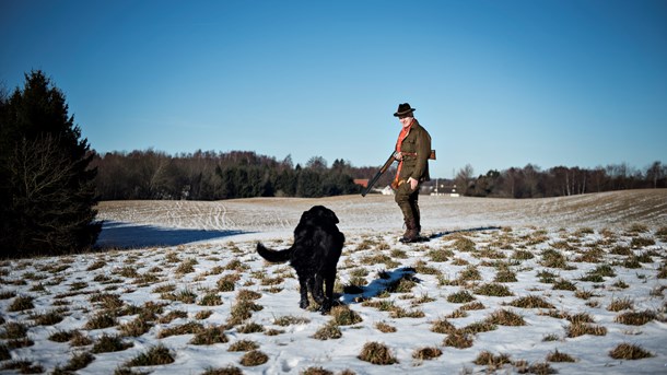 Danmarks Jægerforbund er ligesom Danmarks Naturfredningsforening meget fokuseret på at sikre og beskytte vores fælles natur, skriver Claus Lind Christensen.