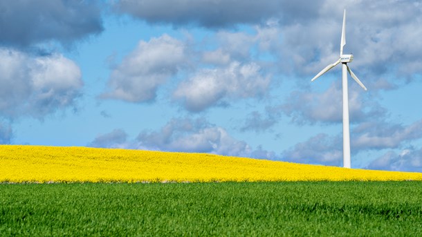 Steen Gade: Lav et omfattende eftersyn af natur- og biodiversitetsindsatsen